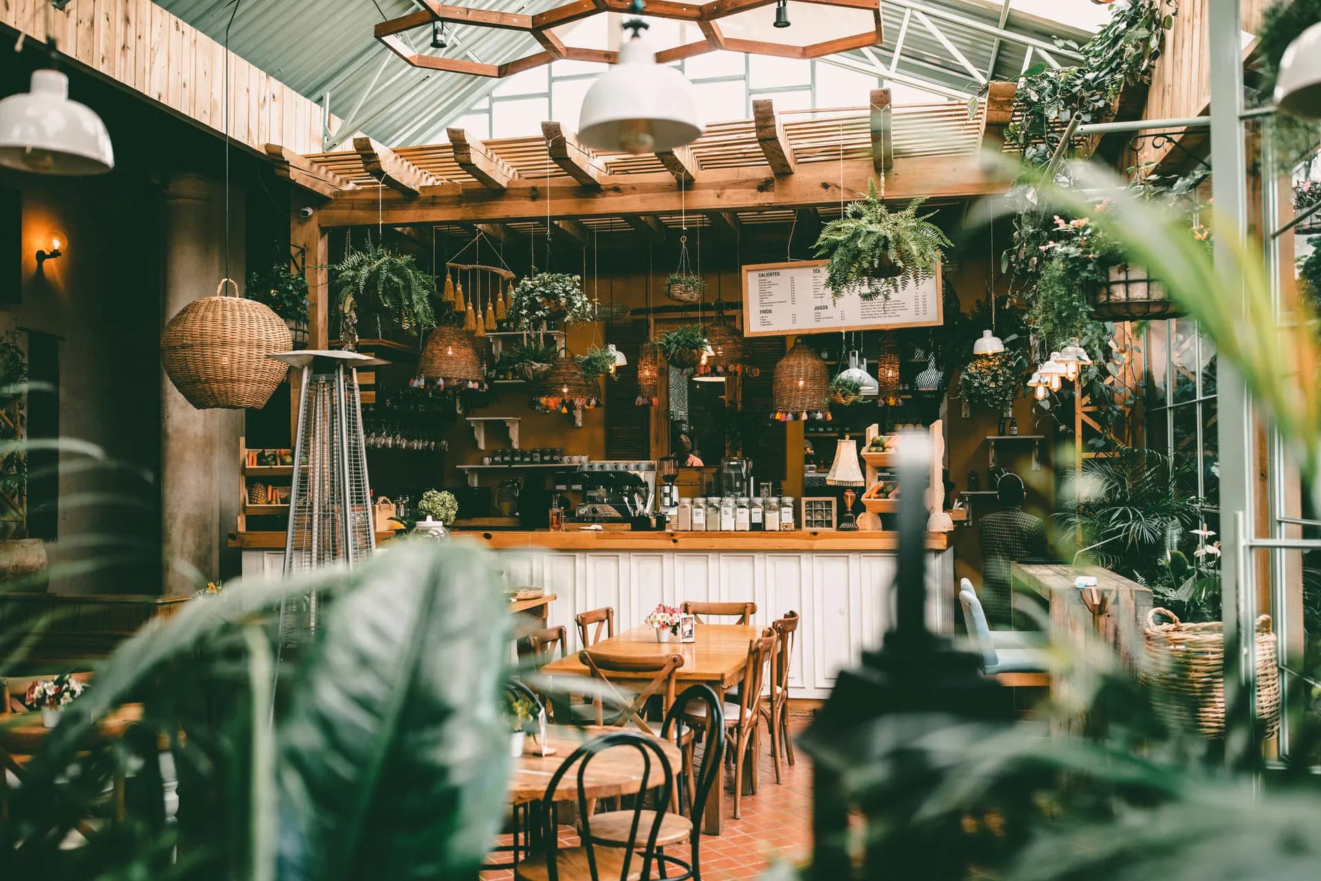 Interior del café con plantas y madera natural